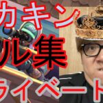 【ヒカキン】HIKAKINプライベートキル集大公開！！！！【キル集】