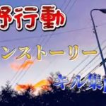 【荒野行動】メインストーリート&キル集pt1