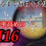 【23日目】神曲で贈るm16onlyキル集!!【荒野行動/キル集/m16】