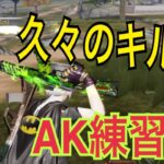 【荒野行動】久々のキル集🔫AK練習中❗️