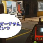 【ApexLegends】やっぱりモザンビークって最強なんやな。。。【キル集】