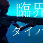 【Fortnite】臨界ダイバー Switch勢のキル集 #39 【フォートナイト】