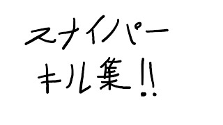 PAD普通持ちのスナイパーキル集！