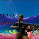 【フォートナイト/Fortnite】現在13000Pの人のキル集