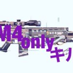 M4onlyキル集