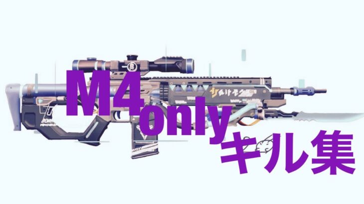 M4onlyキル集