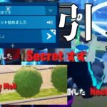 【fortnite】有名人遭遇率日本一の引退キル集