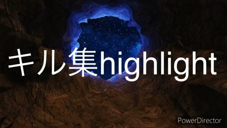 【荒野行動】キル集highlight