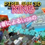 自称猛者によるLv38のKINGキル集｢ピクセルガン｣