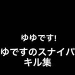 スナイパーキル集