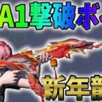 願い事ガチャのM4A1に今さら撃破ボイスつけてみたｗｗ【荒野行動】#693 Knives Out