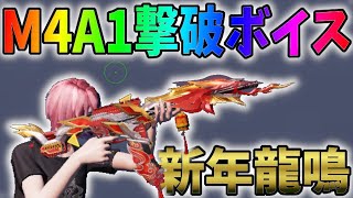 願い事ガチャのM4A1に今さら撃破ボイスつけてみたｗｗ【荒野行動】#693 Knives Out