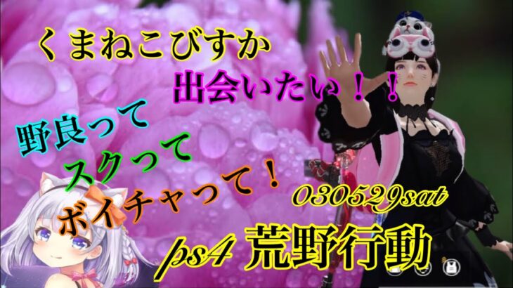 ps4荒野行動　週末びすか　「野良で出逢いたいんだ！」