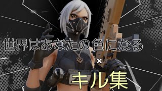 #17 無双キル集！世界はあなたの色になる「Fortnite/キル集」