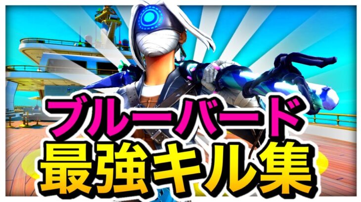 【ブルーバード】絶対見たら惚れる神視点によるキル集!!【フォートナイト】【中学2年生】