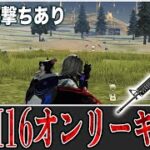 【荒野行動】2.5発指切りM16オンリーキル集【腰撃ちあり】