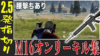 【荒野行動】2.5発指切りM16オンリーキル集【腰撃ちあり】