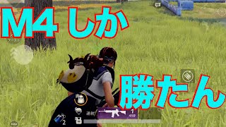 【荒野行動キル集】これがオイラのM4A1(｀・∀・´)