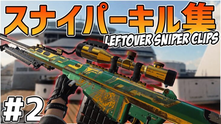 【CoD:BOCW】没になったスナイパーキル集#2【Leftover Clips】