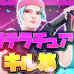 ⠀【リテラチュア】PS4直差し最強の神キル集!!