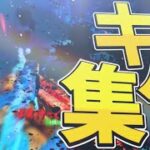 【キル集】Switchスティック最強による神キル集!!【Fortnite/フォートナイト】