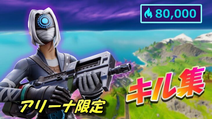 キル集　アリーナ 限定　80,000ハイプ　【フォートナイト/fortnite】