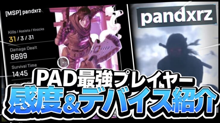 【APEX】pandxrzの感度,デバイスをご紹介!【キル集あり】