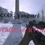【COD:Vanguard β版】無双キル集