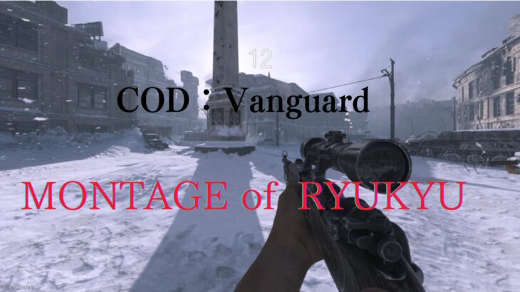 【COD:Vanguard β版】無双キル集