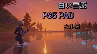 白い雪原 PS5 PADキル集！part2#フォートナイトキル集#fortnite#白い雪原