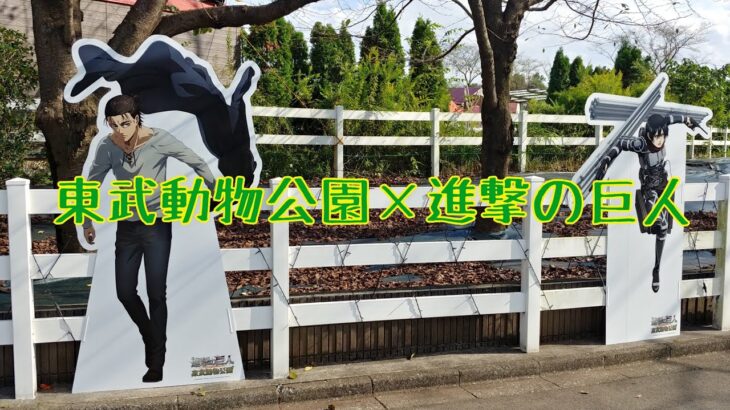 東武動物公園進撃の巨人コラボ/ぼっちで行ってみた。/アラフォー独身男/