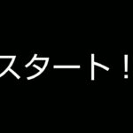 今回は荒野行動のキル集編！