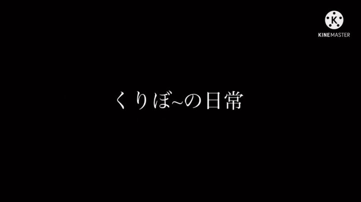 【荒野行動】キル集