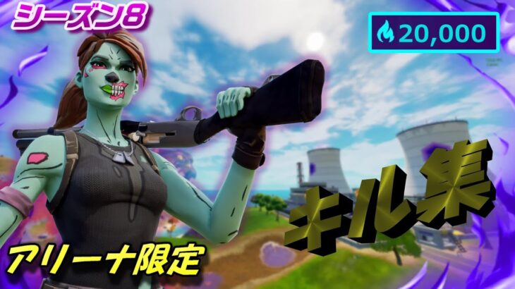 アリーナ 最高峰 DIV10限定 キル集 15000～20,000ハイプ 【フォートナイト/Fortnite】