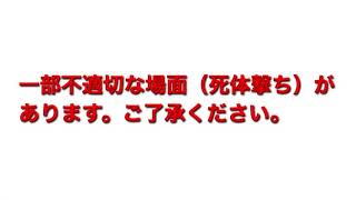 荒野行動キル集(?)カクカクですみません