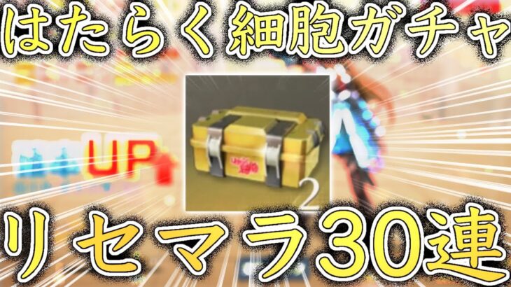 【荒野行動】はたらく細胞ガチャをリセマラで30連してみた‼︎【はたらく細胞コラボ】