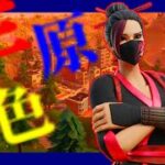 【キル集】三原色/Highlght5【フォートナイト/Fortnite】