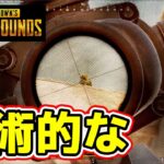 【PUBG】見てて気持ちいいSRのキル集を作ってみた！！！！！【つっちー】