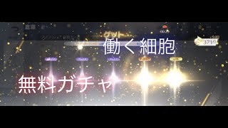 【荒野行動】働く細胞　無料ガチャ引いてみよう♪♪