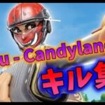 (fortnite)Tobu – Candyland　没クリップでキル集！part29