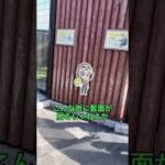 声真似 進撃の巨人コラボ東武動物公園で#進撃の巨人 #リヴァイ