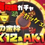 【荒野行動】壬寅降臨ガチャ!! 初の金枠SK12サイガ＆AK14!!カッケェ!!