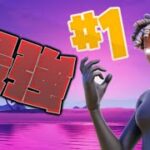 ハルカ Highlights#1                               #フォートナイト #fortnite #フォートナイトキル集