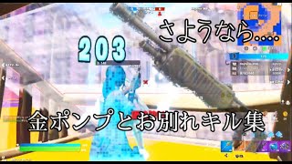 【さようなら】金ポンプとお別れ203ダメージオンリーキル集‼︎