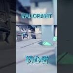 VALORANT女子 初心者セージ専キル集 #shorts #valorant #valorantclips