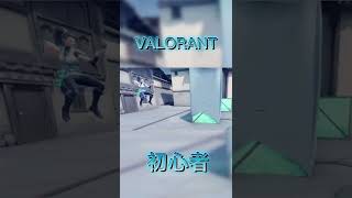 VALORANT女子 初心者セージ専キル集 #shorts #valorant #valorantclips