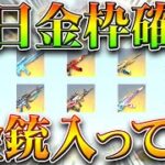 【荒野行動】明日の金枠確定は「金銃」です。→前回みたいに変更あるかもしれんけどね。ぎんなん。無料無課金ガチャリセマラプロ解説！こうやこうど拡散のため👍お願いします【アプデ最新情報攻略まとめ】