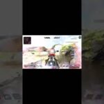 APEX新モザンビークキル集