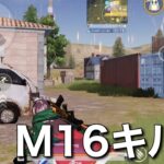 【荒野行動】帰ってきた圧倒的ヘッド率！ふくろぉのM16キル集🔥