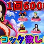 【荒野行動】1回6000円！シークレットガチャで激レアハンコック当てたい…wwww 【荒野の光】【#NE夏祭り2022】